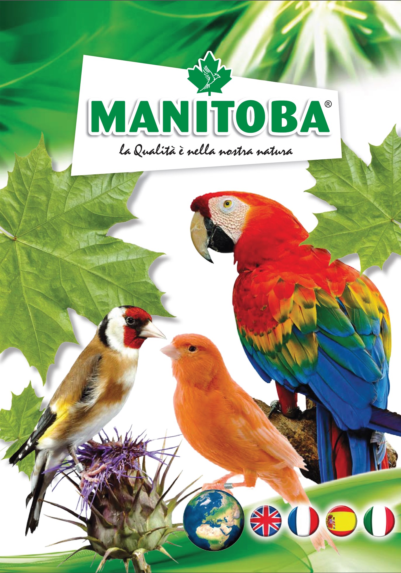 Manitoba srl catalog world